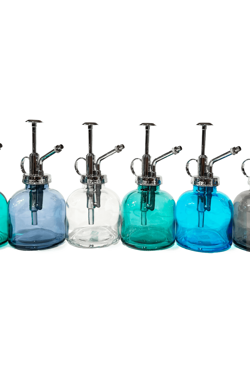 Mr Mister Modern Glass Plant Spray Bottle - Chive US Wholesale