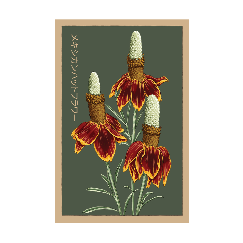 Mexican Hat Flower Seeds Packet - Chive US Wholesale