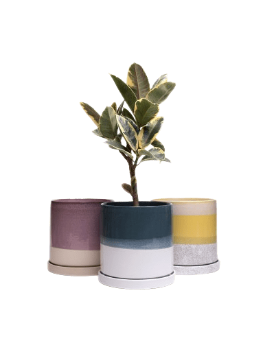 Minute Ceramic Pot And Saucer With Drainage Sets - Chive US Wholesale