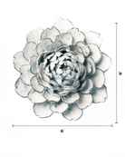 NA01 Blue White Hermione Peony - Chive US Wholesale