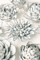 NA02 Blue White Lexi Cornflower - Chive US Wholesale