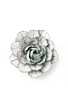 NA03 Blue White Keiko Peony - Chive US Wholesale