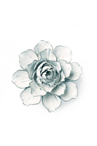 NA04 Blue White Camellia - Chive US Wholesale