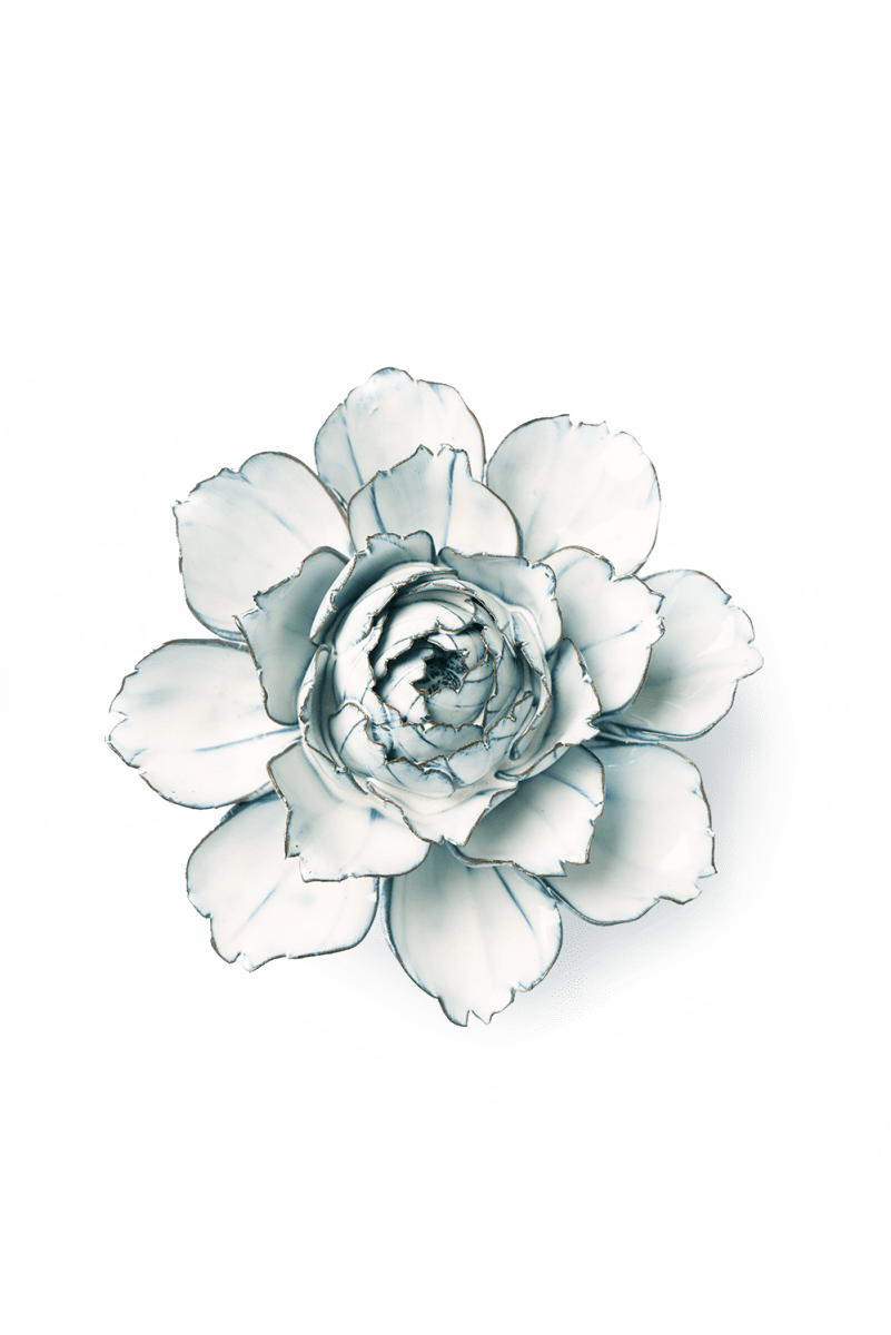 NA04 Blue White Camellia - Chive US Wholesale