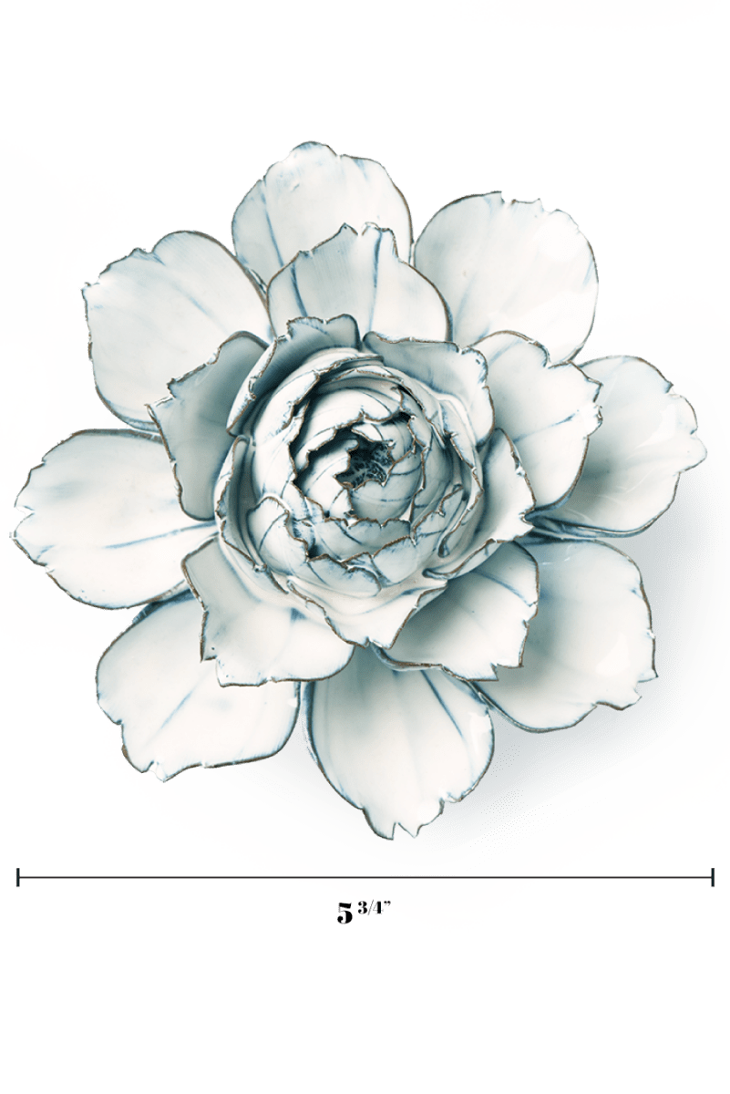 NA04 Blue White Camellia - Chive US Wholesale