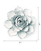 NA04 Blue White Camellia - Chive US Wholesale