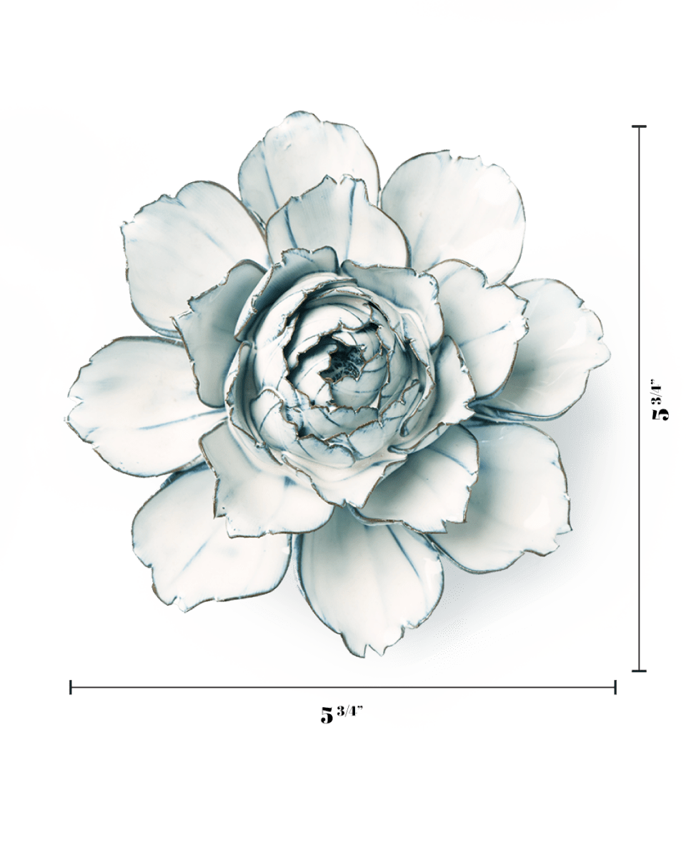 NA04 Blue White Camellia - Chive US Wholesale