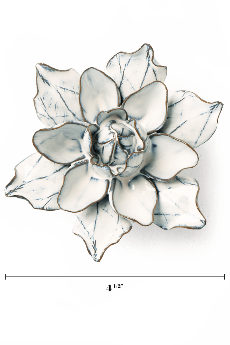 NA06 Blue White Columbine - Chive US Wholesale