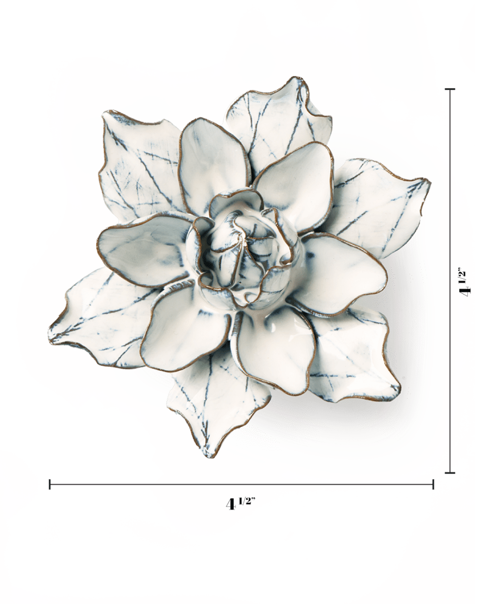 NA06 Blue White Columbine - Chive US Wholesale