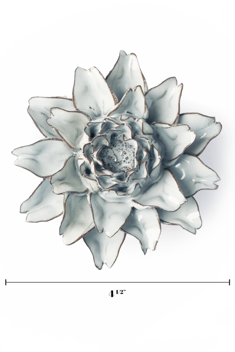 NA11 Blue White King Protea - Chive US Wholesale