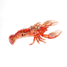 Lobster Ornament - Chive US Wholesale