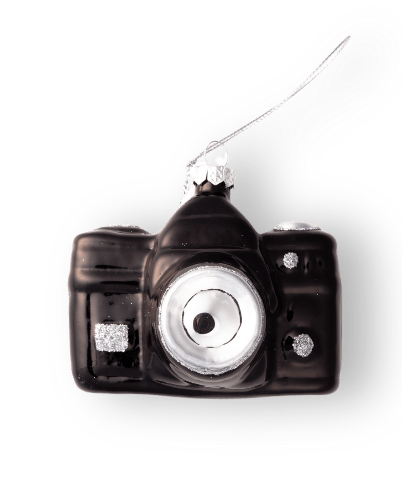 Camera Ornament - Chive US Wholesale
