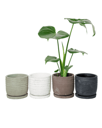 Paul Ceramic Pot And Saucer Set With Drainage - Chive US Wholesale