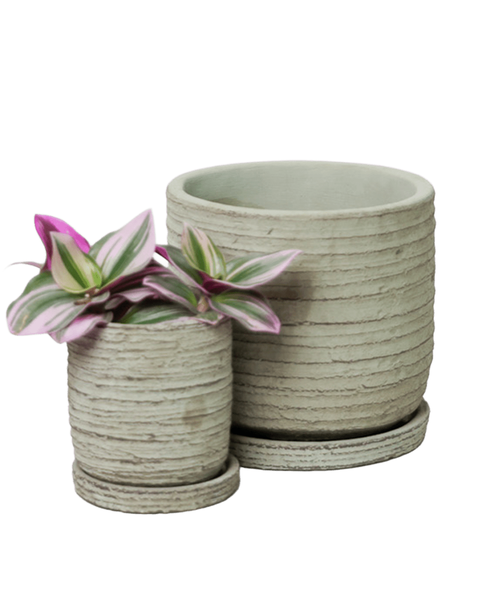 Paul Ceramic Pot And Saucer Set With Drainage - Chive US Wholesale