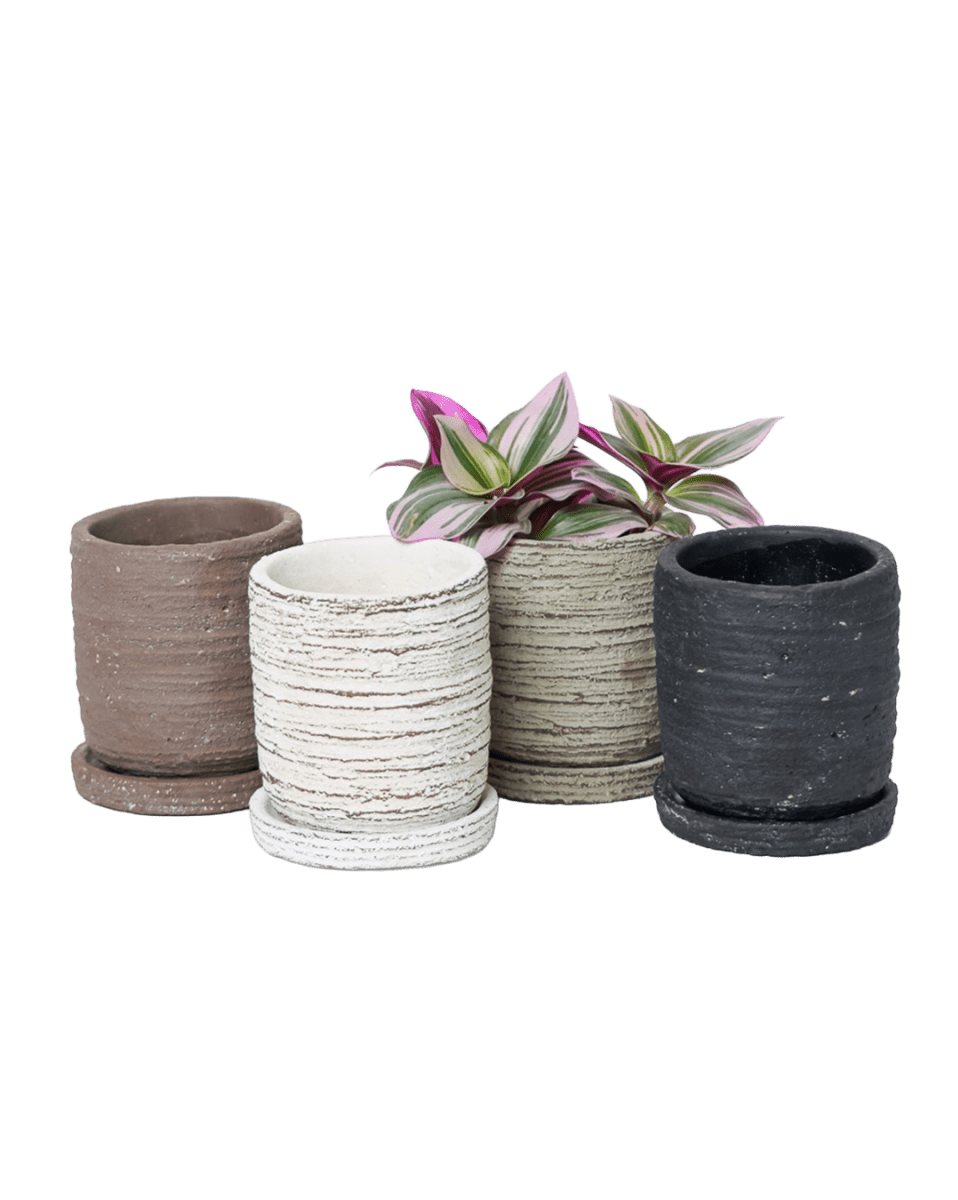 Paul Ceramic Pot And Saucer Set With Drainage - Chive US Wholesale