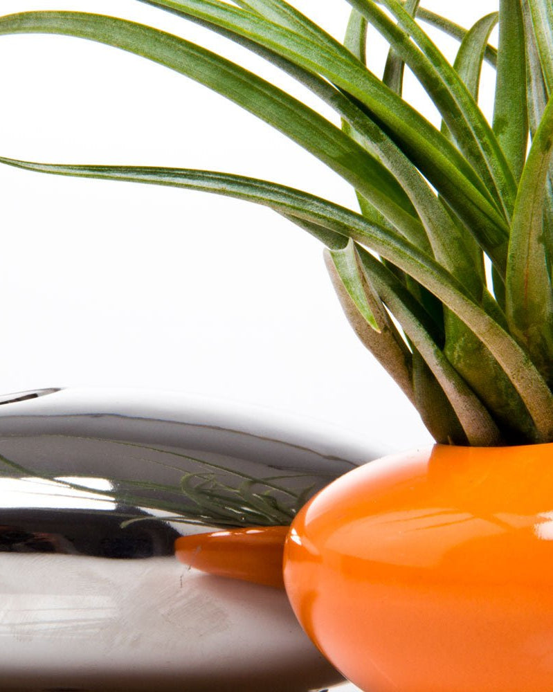 Pebble Ceramic Ikebana Kenzan Container - Chive US Wholesale