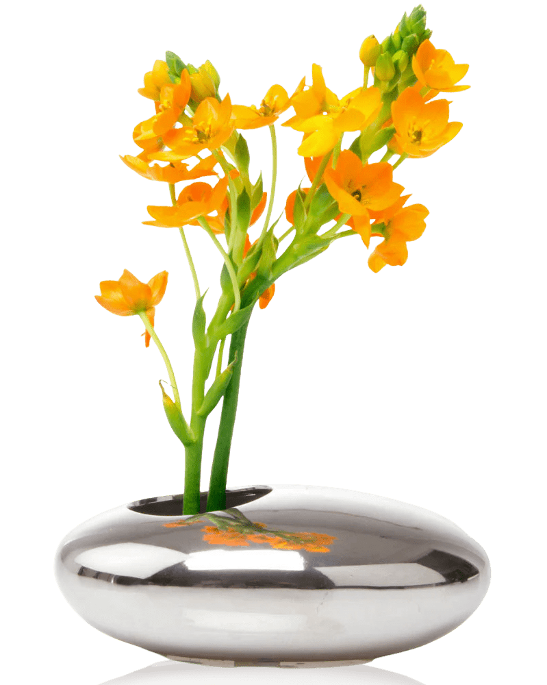 Pebble Ceramic Ikebana Kenzan Container - Chive US Wholesale