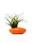 Pebble Ceramic Ikebana Kenzan Container Kit - Chive US Wholesale