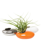 Pebble Ceramic Ikebana Kenzan Container Kit - Chive US Wholesale