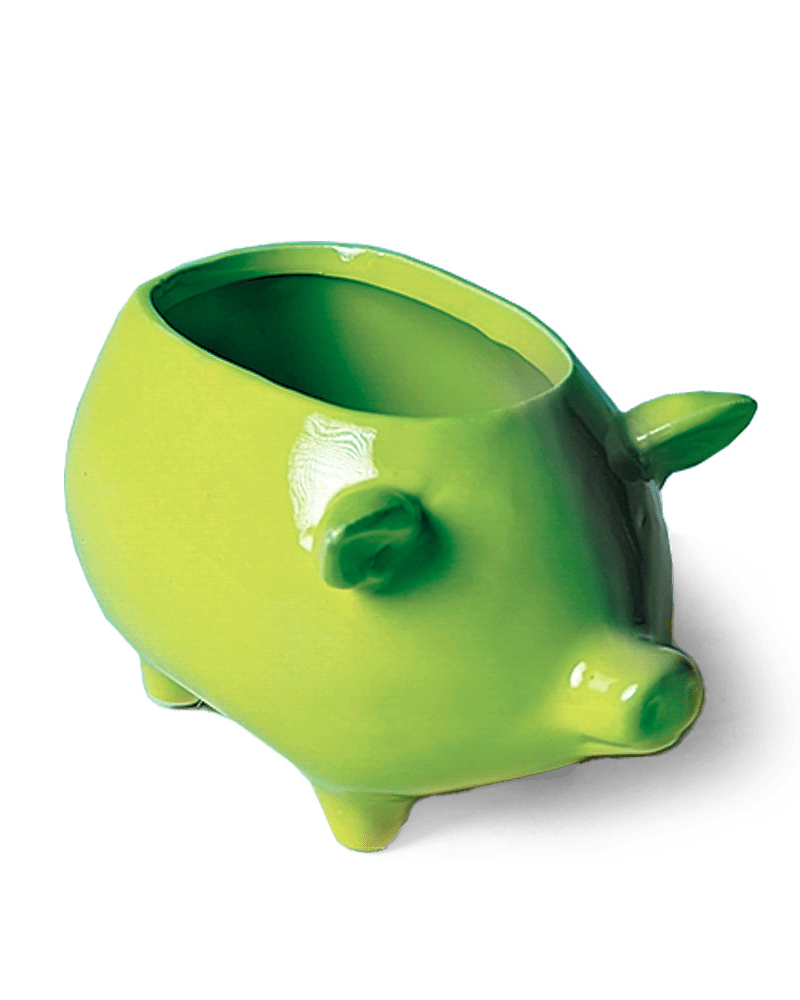 Pig Ceramic Indoor Plant Pot For Succulents - Chive US Wholesale