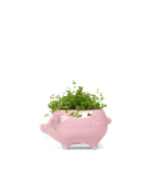 Pig Ceramic Indoor Plant Pot Kit - Chive US Wholesale