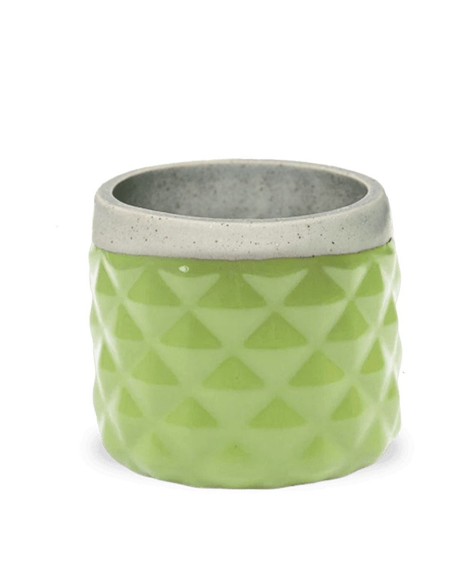 Pina Ceramic Succulent Planter Pot - Chive US Wholesale
