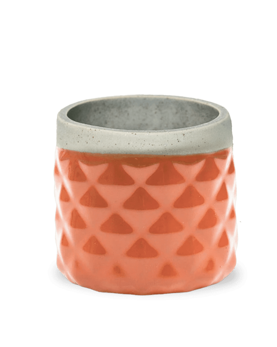 Pina Ceramic Succulent Planter Pot - Chive US Wholesale