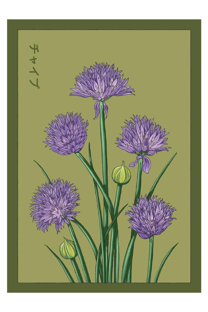 Shido 19" x 27" Wall Poster - Chive US Wholesale