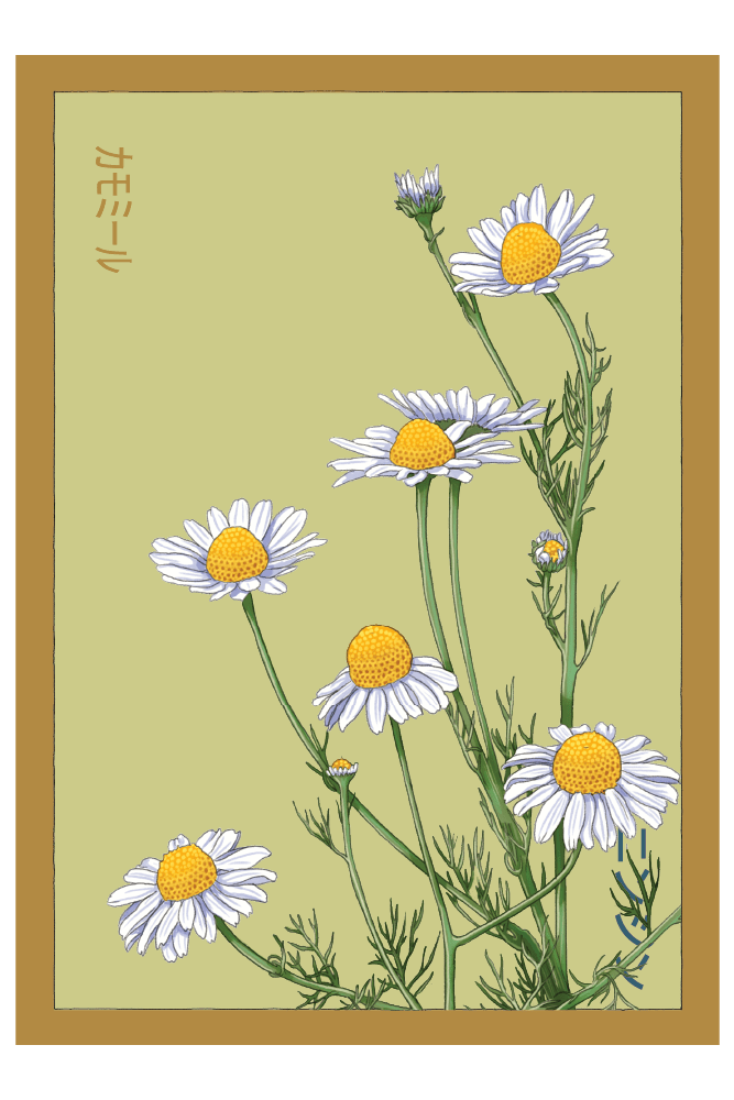 Shido 19" x 27" Wall Poster - Chive US Wholesale