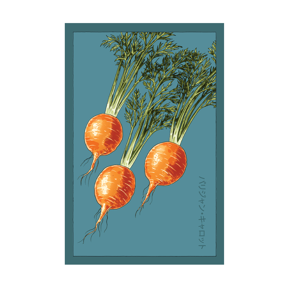 Parisian Carrot Vegetable Seeds Packet - Chive US Wholesale