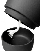 Ryan Self - Watering Plant Pots - Chive US Wholesale