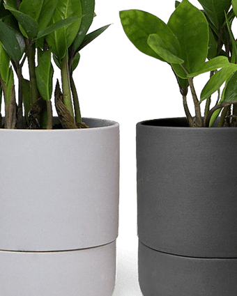 Ryan Self - Watering Plant Pots - Chive US Wholesale