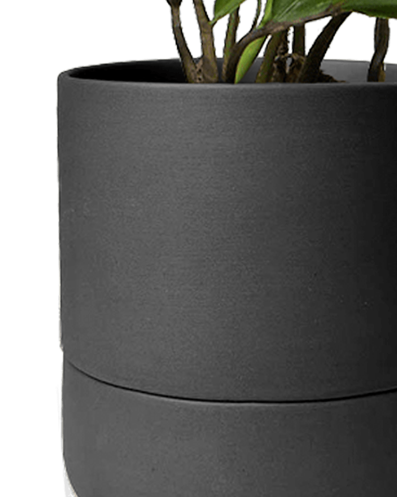 Ryan Self - Watering Plant Pots - Chive US Wholesale