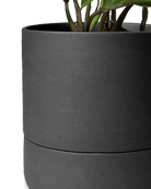Ryan Self - Watering Plant Pots - Chive US Wholesale
