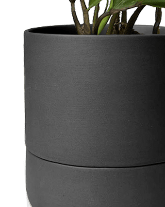 Ryan Self - Watering Plant Pots - Chive US Wholesale