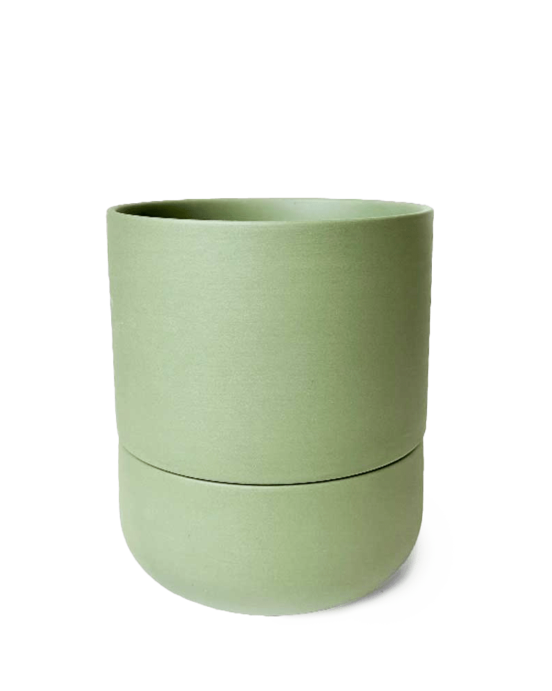 Ryan Self - Watering Plant Pots - Chive US Wholesale