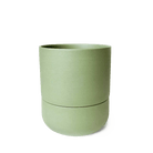 Ryan Self - Watering Plant Pots - Chive US Wholesale