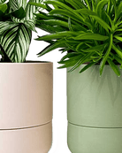 Ryan Self - Watering Plant Pots - Chive US Wholesale