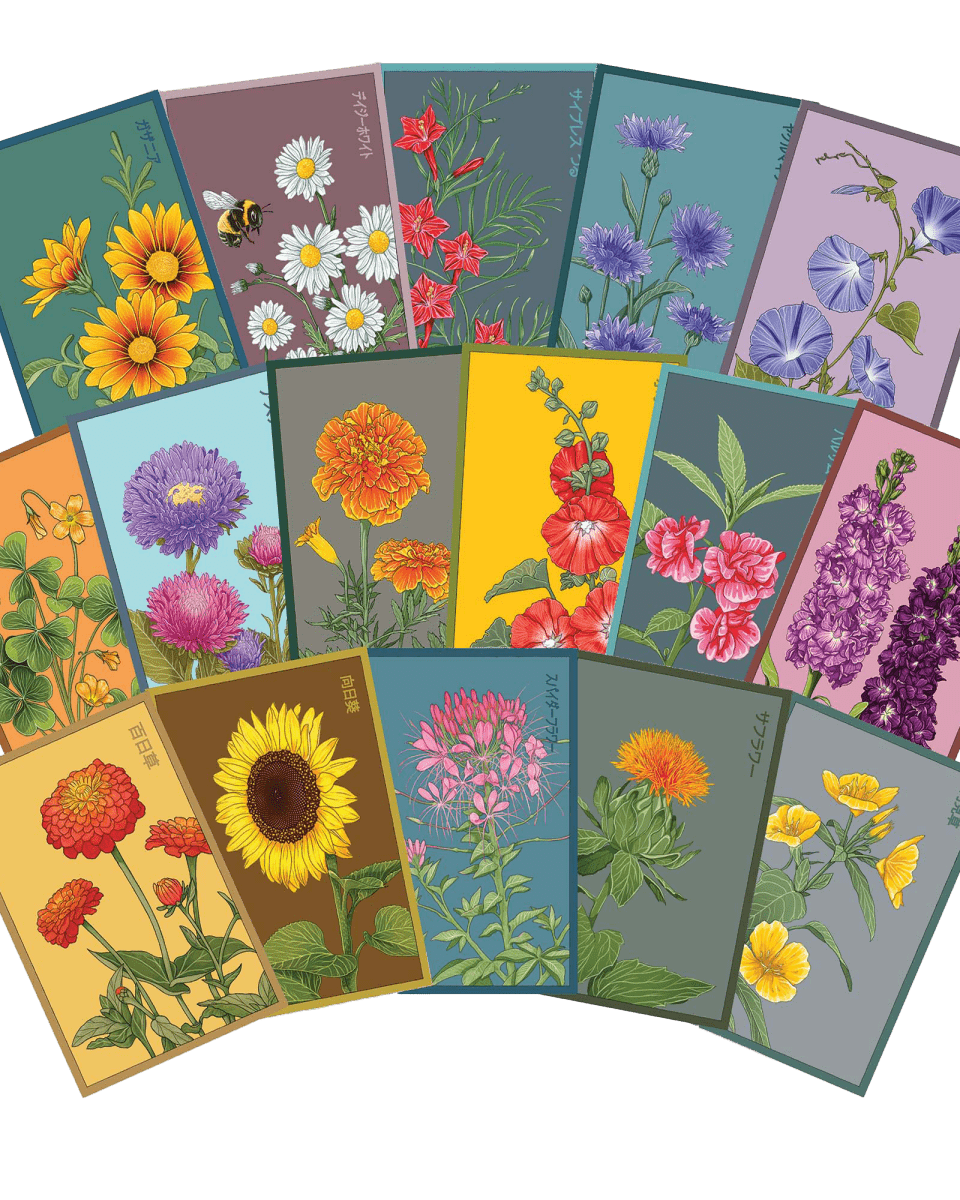 Flower Seeds Packets - 96pc Assortment 1 - Chive US Wholesale
