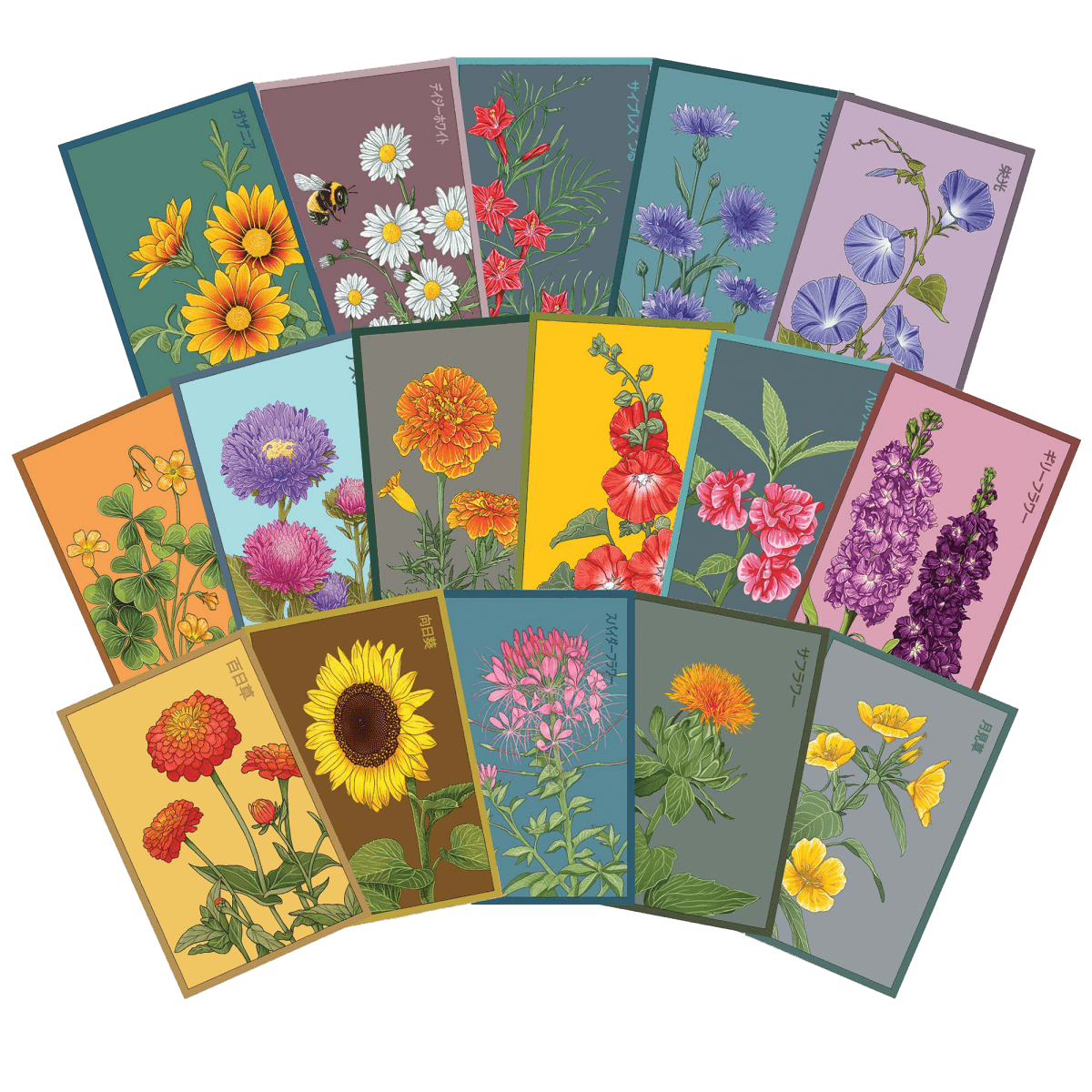 Flower Seeds Packets - 96pc Assortment 1 - Chive US Wholesale