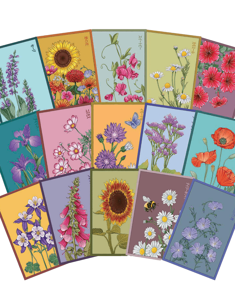 Flower Seeds Packets - 96pc Assortment 2 - Chive US Wholesale
