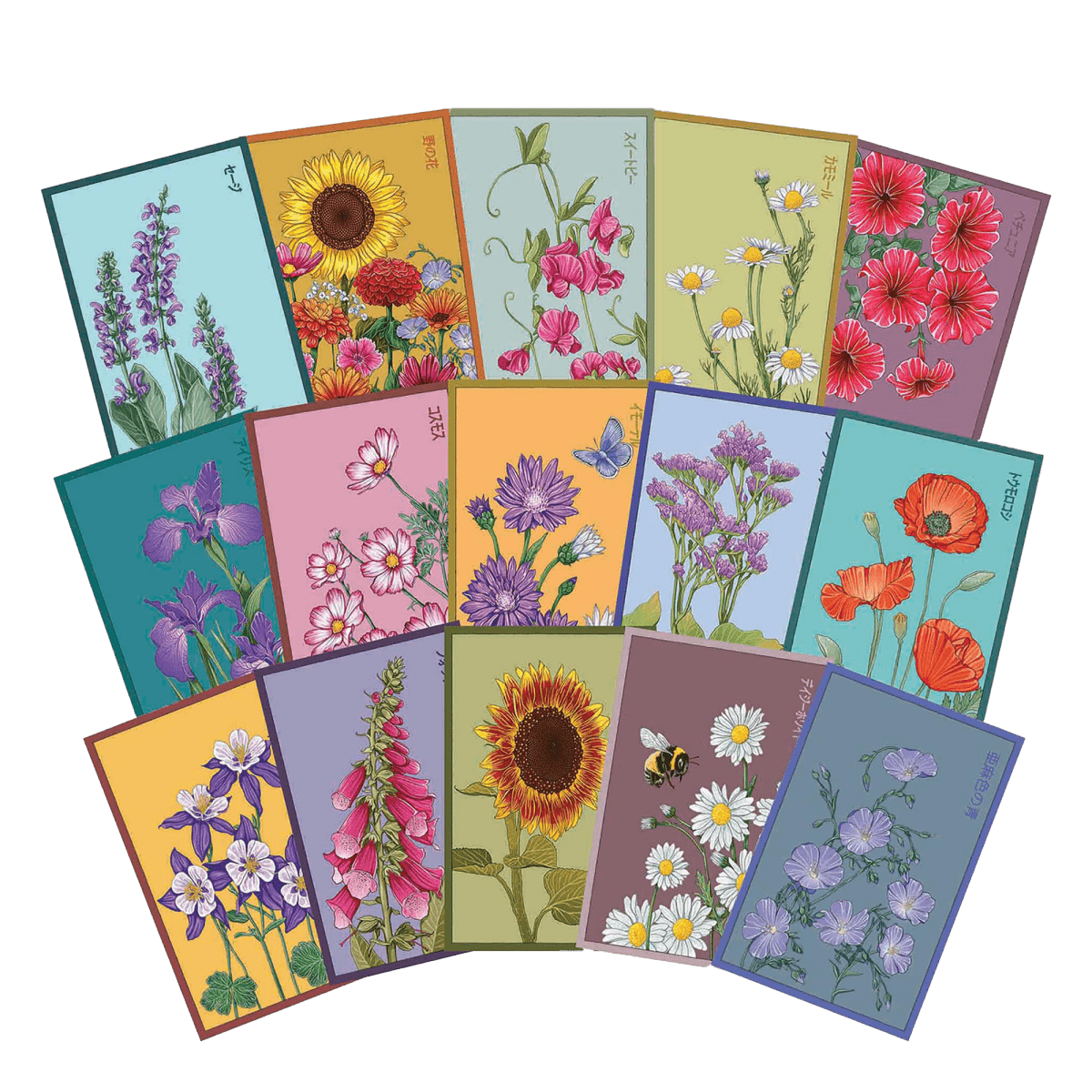 Flower Seeds Packets - 96pc Assortment 2 - Chive US Wholesale