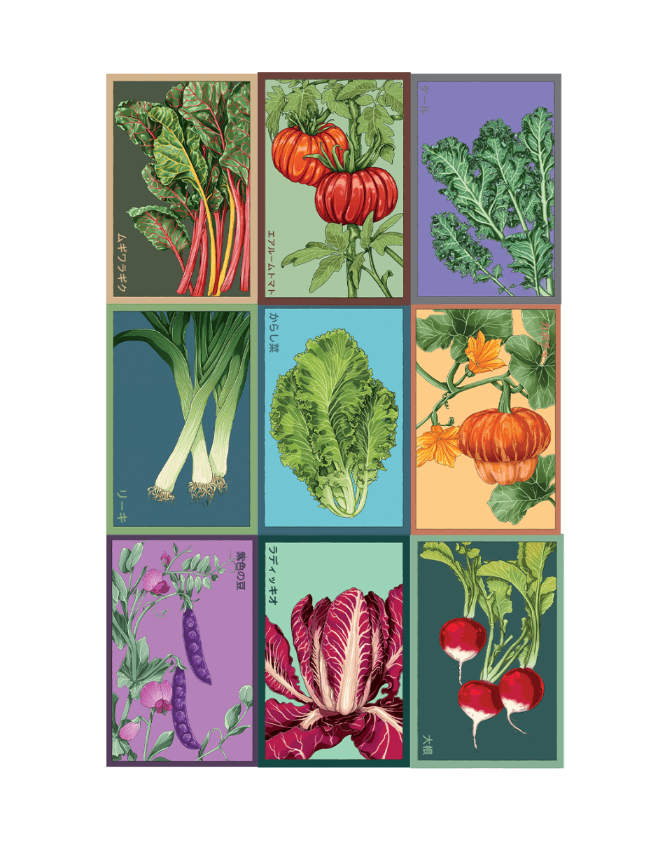 Vegetable Seeds Packets - 96pc Assortment 1 - Chive US Wholesale