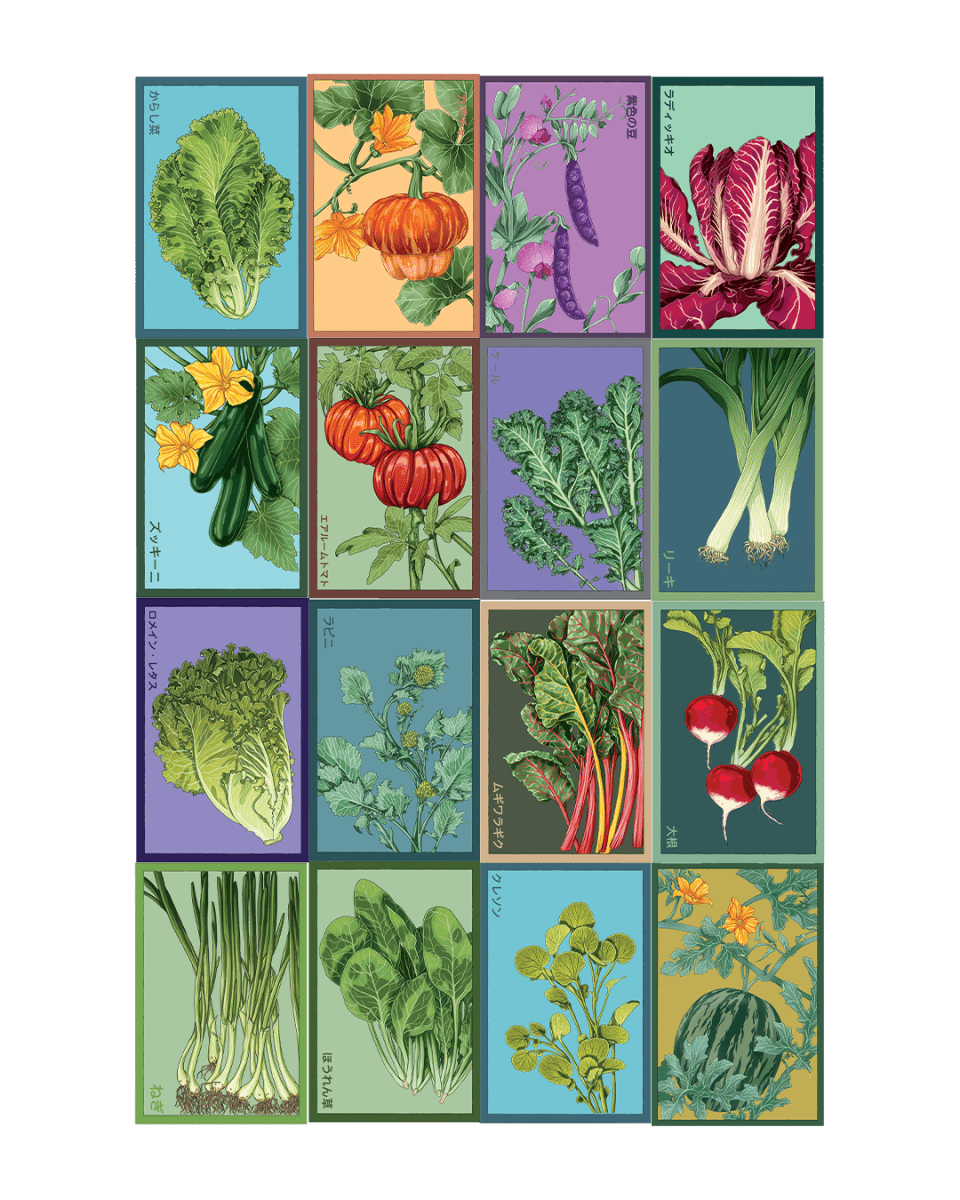 Vegetable Seeds Packets - 96pc Assortment 1 - Chive US Wholesale