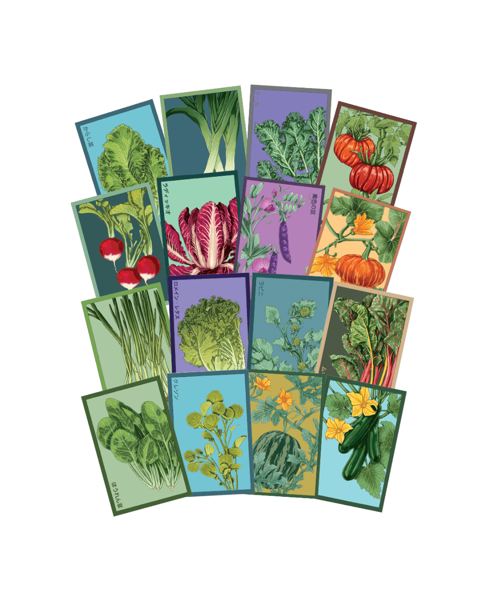 Vegetable Seeds Packets - 96pc Assortment 1 - Chive US Wholesale