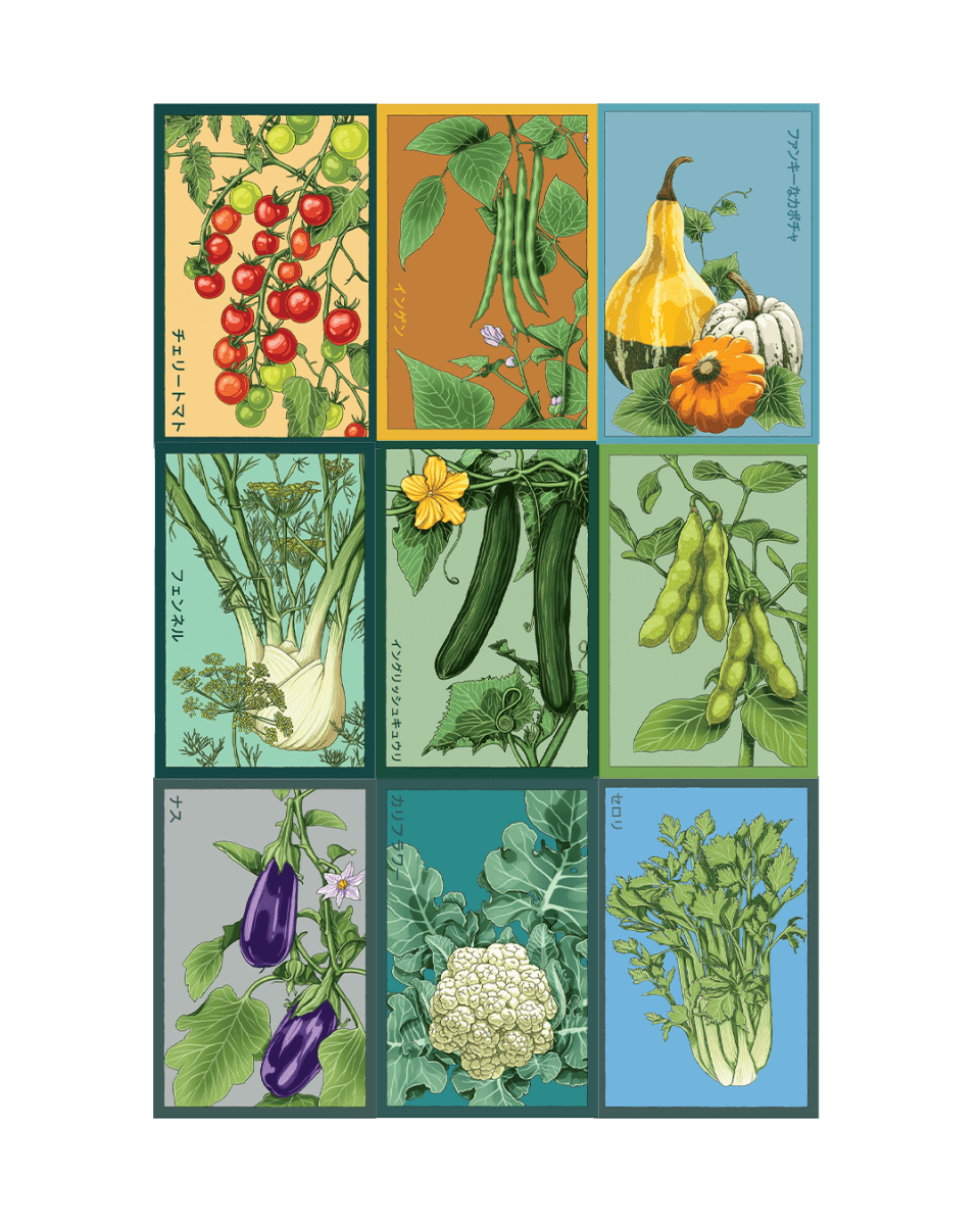 Vegetable Seeds Packets - 96pc Assortment 2 - Chive US Wholesale