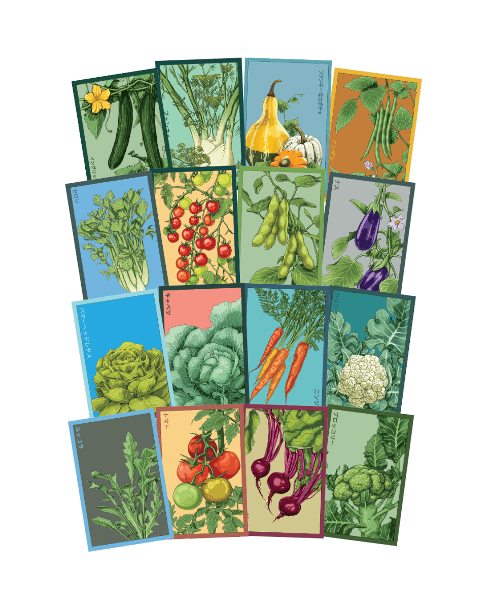 Vegetable Seeds Packets - 96pc Assortment 2 - Chive US Wholesale