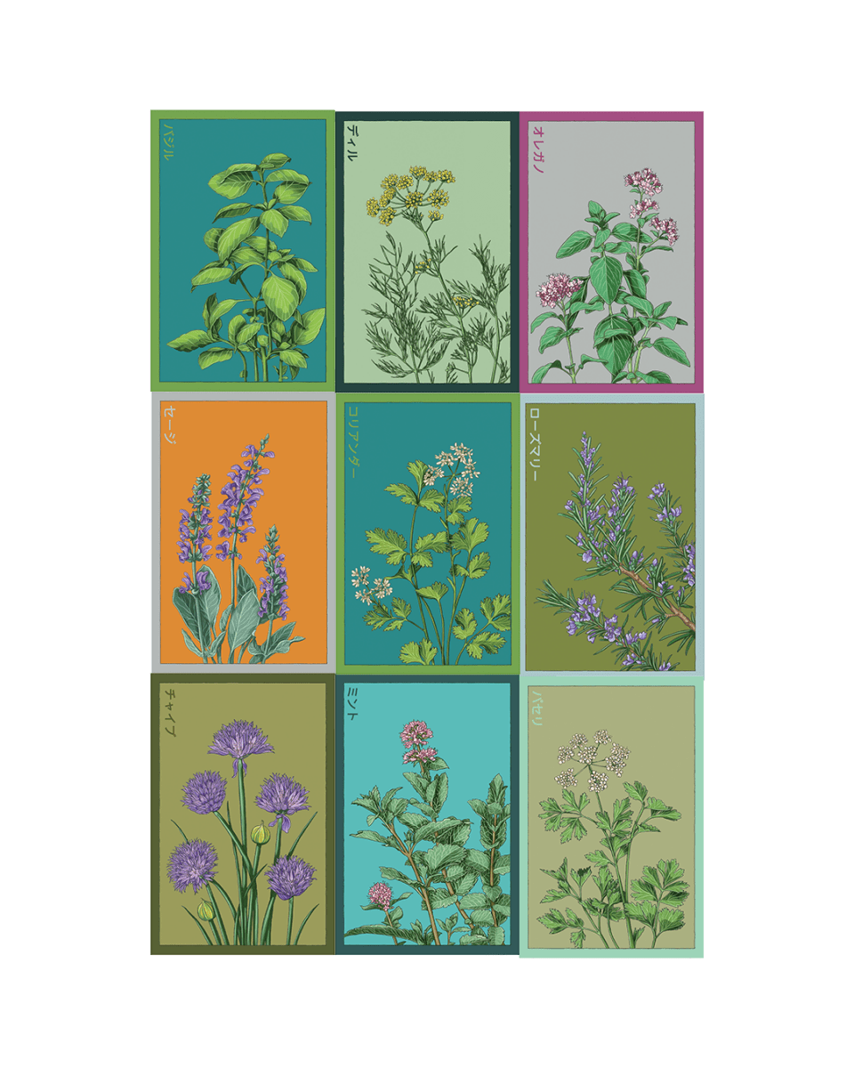 Herb Seeds Packets - 96pc Assortment 1 - Chive US Wholesale