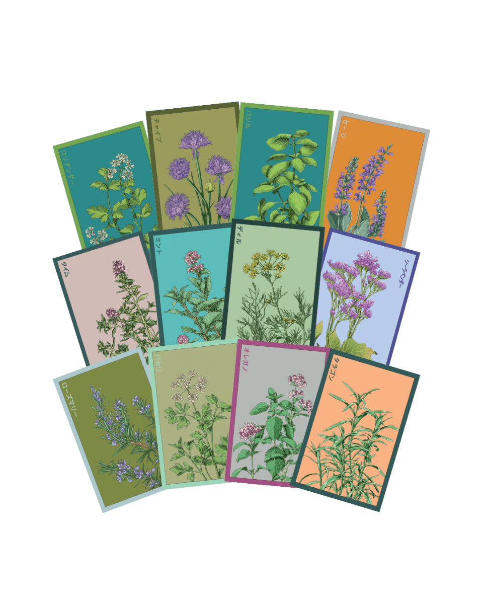 Herb Seeds Packets - 96pc Assortment 1 - Chive US Wholesale