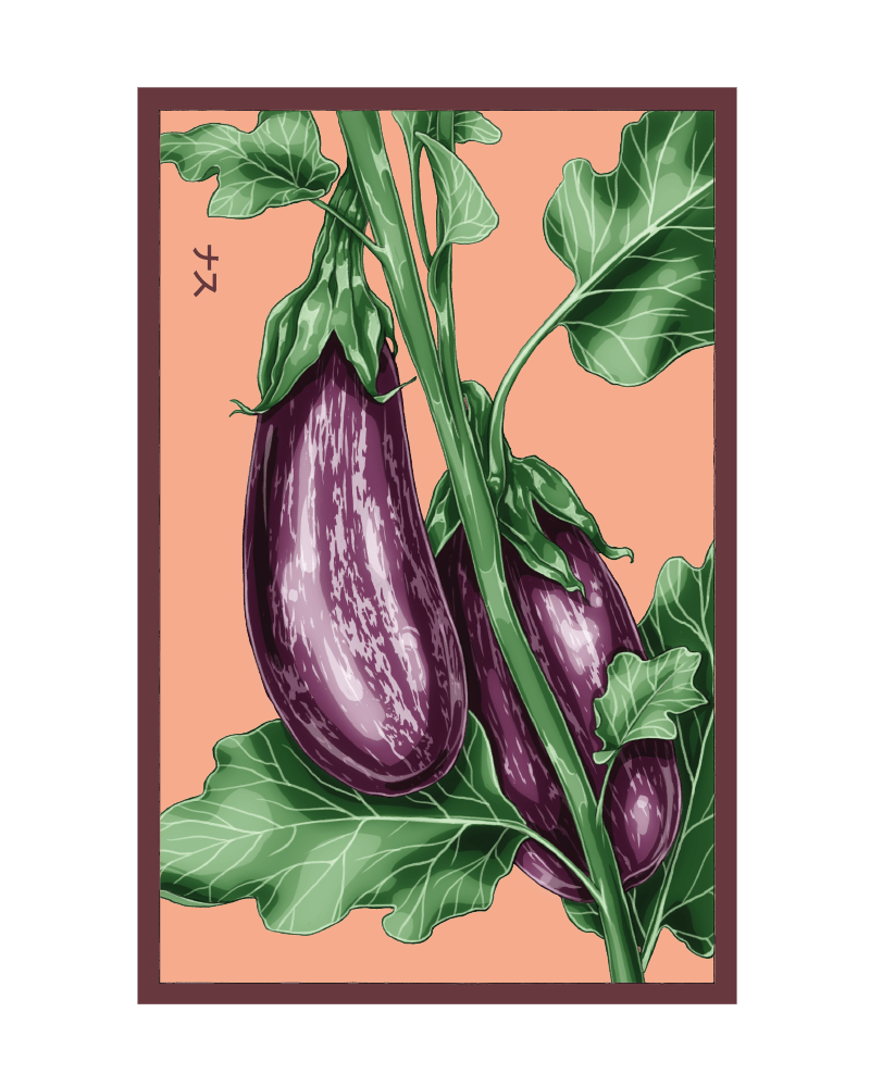 2026 Aubergine Jewel Marble F1 Vegetable Seeds Packet - Chive US Wholesale